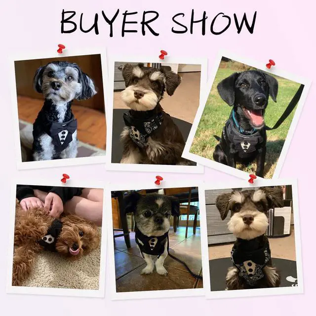 Alt view image 4 of 7 - Dog Tuxedo Harness for Small Medium Dogs, No Pull Dog Harness and Leash Set,Soft Padded Mesh Step-in Dog Vest Tux Costume for Wedding Outfit Birthday Party Holiday,Pet Formal Wear with Bowtie