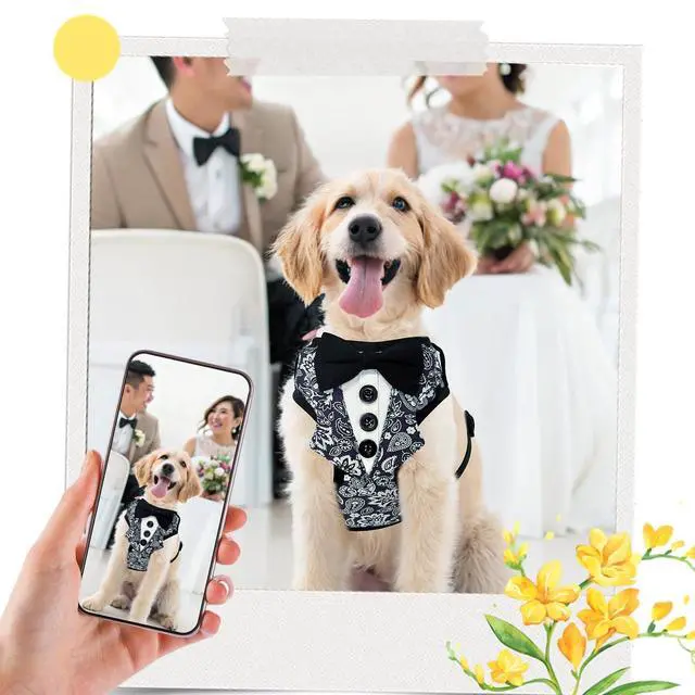 Alt view image 7 of 7 - Dog Tuxedo Harness for Small Medium Dogs, No Pull Dog Harness and Leash Set,Soft Padded Mesh Step-in Dog Vest Tux Costume for Wedding Outfit Birthday Party Holiday,Pet Formal Wear with Bowtie