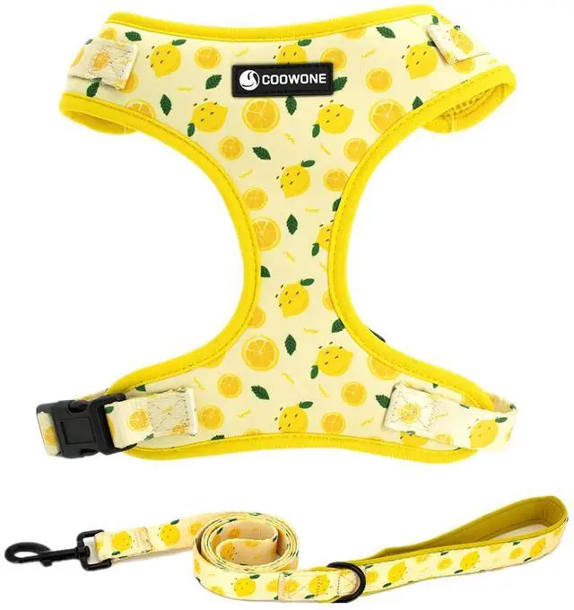 Main image of Dog Harness and Leash Set, Adjustable Dog Harness, Dog Leash, No Pull No Choke Puppy Harnesses for Walking Training for Small Medium Large Pet