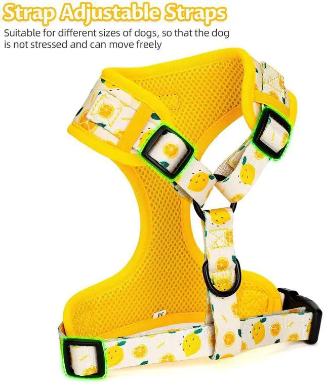 Alt view image 2 of 7 - Dog Harness and Leash Set, Adjustable Dog Harness, Dog Leash, No Pull No Choke Puppy Harnesses for Walking Training for Small Medium Large Pet