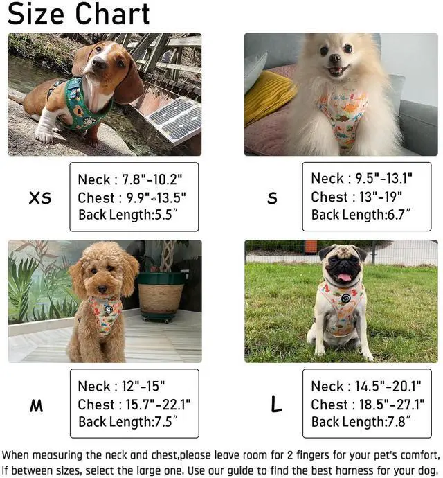 Alt view image 4 of 7 - Dog Harness and Leash Set, Adjustable Dog Harness, Dog Leash, No Pull No Choke Puppy Harnesses for Walking Training for Small Medium Large Pet