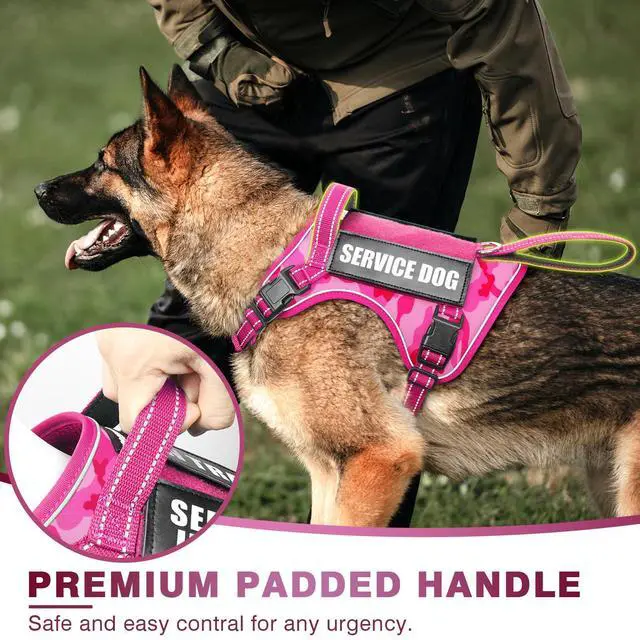 Alt view image 4 of 7 - Tactical Dog Harness, No Pull Dog Harness for Medium Large Dogs with Handle & Molle, Military Service Dog Vest Harness in Training Pet Harness for Small Dogs