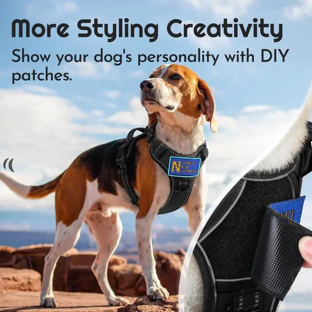 Alt view image 3 of 7 - Dog Harness No Pull for Large Dogs, Easy On & Off with 3 Buckles