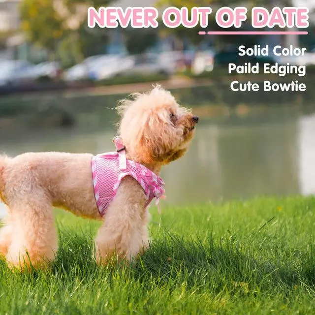 Alt view image 5 of 6 - Dog Harness for Puppy and Small Sized Dogs, Step-in No Pull Soft Mesh Vest Harness for Cats Small Pets Walking, Pink, New S