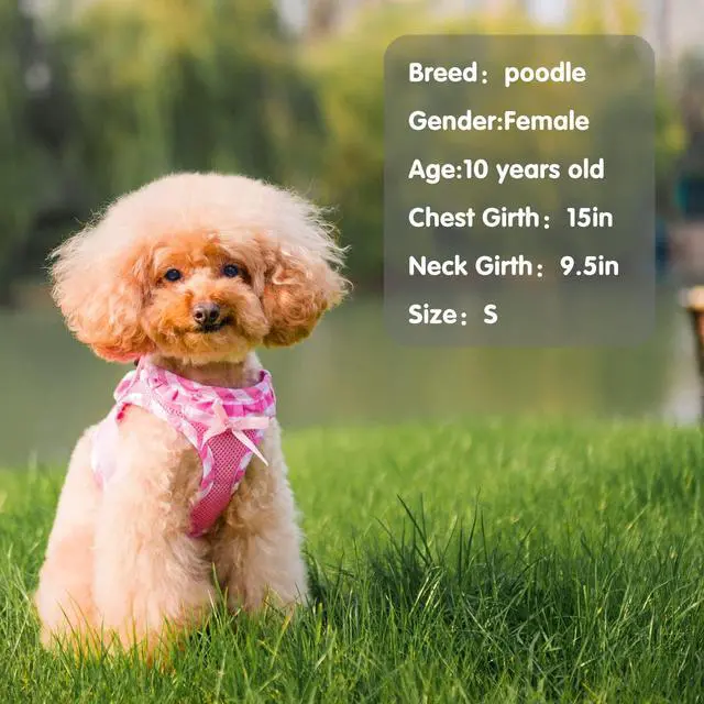 Alt view image 6 of 6 - Dog Harness for Puppy and Small Sized Dogs, Step-in No Pull Soft Mesh Vest Harness for Cats Small Pets Walking, Pink, New S