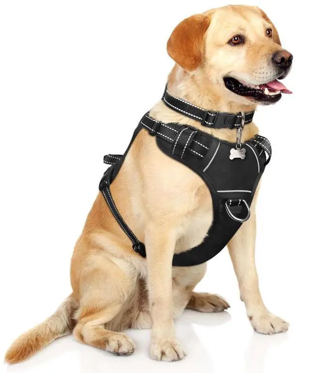 Main image of Dog Harness No Pull, Pet Harnesses with Dog Collar, Adjustable Reflective Oxford Outdoor Vest, Front/Back Leash Clips for Small, Medium, Large, Extra Large Dogs, Easy Control Handle for Walking