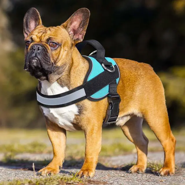 Alt view image 3 of 5 - Essential Dog Harness, No Pull Pet Vest with 3 Leash Clips, No Choke, Reflective, Adjustable and Padded, for Easy Walking and Training for Medium Dogs(M, Blue)