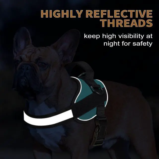 Alt view image 4 of 5 - Essential Dog Harness, No Pull Pet Vest with 3 Leash Clips, No Choke, Reflective, Adjustable and Padded, for Easy Walking and Training for Medium Dogs(M, Blue)