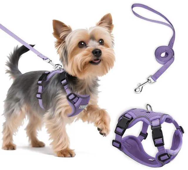 Main image of Small Dog Harness and Leash Set, Adjustable Small Sized Pet Vest