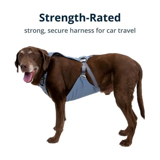 Alt view image 4 of 7 - Load Up Dog Car Harness, Padded Adjustable Travel Restraint with Universal Seat Belt Attachment and Strength-Rated Metal Hardware, for Road Trips in Cars & SUVs, Slate Blue, Medium