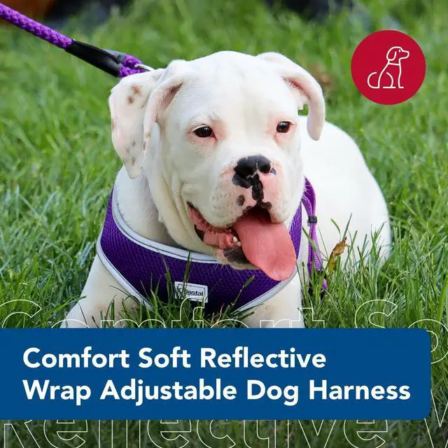 Alt view image 2 of 7 - Pet Comfort Soft Reflective Wrap Adjustable Dog Harness - No-Pull Dog Harness for Small & Large Dogs - Purple - 3/4" x 20"29"