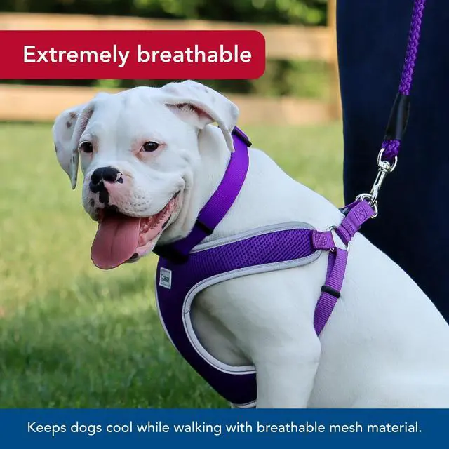 Alt view image 3 of 7 - Pet Comfort Soft Reflective Wrap Adjustable Dog Harness - No-Pull Dog Harness for Small & Large Dogs - Purple - 3/4" x 20"29"