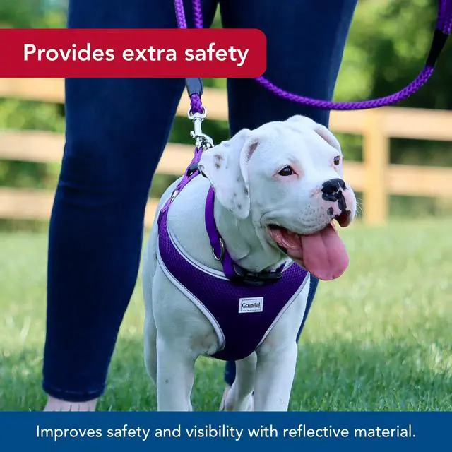 Alt view image 4 of 7 - Pet Comfort Soft Reflective Wrap Adjustable Dog Harness - No-Pull Dog Harness for Small & Large Dogs - Purple - 3/4" x 20"29"