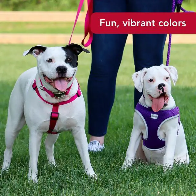 Alt view image 6 of 7 - Pet Comfort Soft Reflective Wrap Adjustable Dog Harness - No-Pull Dog Harness for Small & Large Dogs - Purple - 3/4" x 20"29"