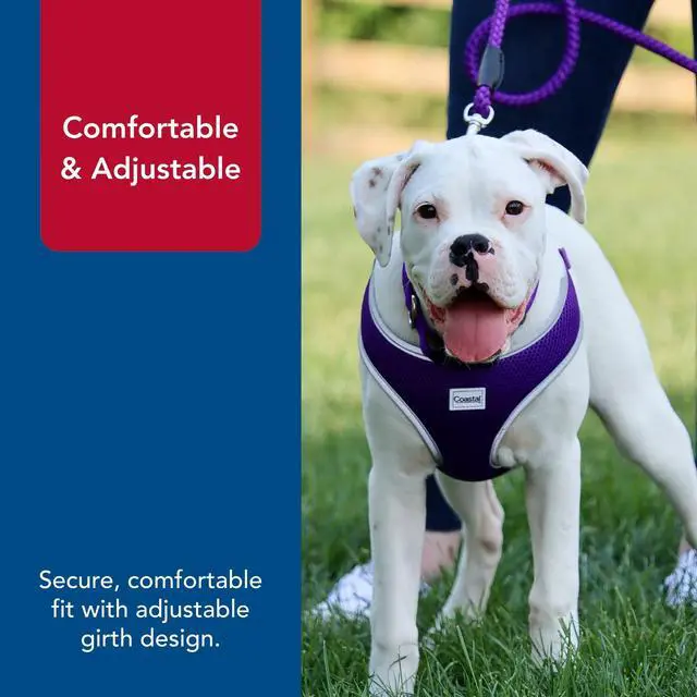 Alt view image 5 of 7 - Pet Comfort Soft Reflective Wrap Adjustable Dog Harness - No-Pull Dog Harness for Small & Large Dogs - Purple - 3/4" x 20"29"