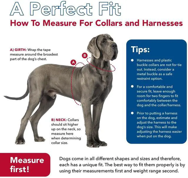 Alt view image 7 of 7 - Pet Comfort Soft Reflective Wrap Adjustable Dog Harness - No-Pull Dog Harness for Small & Large Dogs - Purple - 3/4" x 20"29"