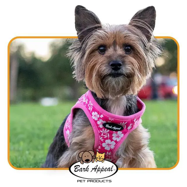 Alt view image 6 of 6 - Pink Hibiscus Step-in Dog Harness for Small to Medium Sized Pets Updated Sizing, Re-Measuring is Essential Soft Vest Harness Anti-Choke with Adjustable Strap & Heavy Duty Clip M