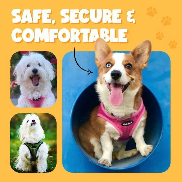 Alt view image 5 of 6 - Pink Hibiscus Step-in Dog Harness for Small to Medium Sized Pets Updated Sizing, Re-Measuring is Essential Soft Vest Harness Anti-Choke with Adjustable Strap & Heavy Duty Clip M