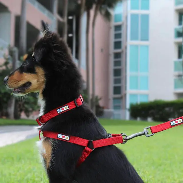 Alt view image 2 of 7 - Solid Step-in Dog Harness Adjustable No-Pull Vest for Puppies to Seniors, Safe & Comfortable XS Black