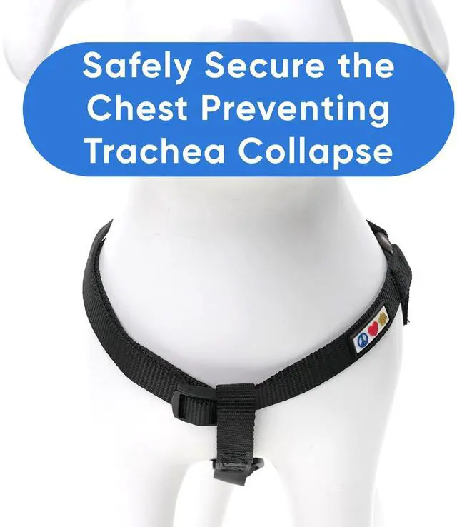 Alt view image 5 of 7 - Solid Step-in Dog Harness Adjustable No-Pull Vest for Puppies to Seniors, Safe & Comfortable XS Black