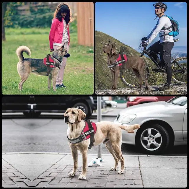 Alt view image 5 of 7 - Dog Harness,No-Pull Service Dog Harness with Handle Adjustable Outdoor Pet Dog Vest 3M Reflective Nylon Material Vest for Breeds,Easy Control for Small Medium Large Dogs