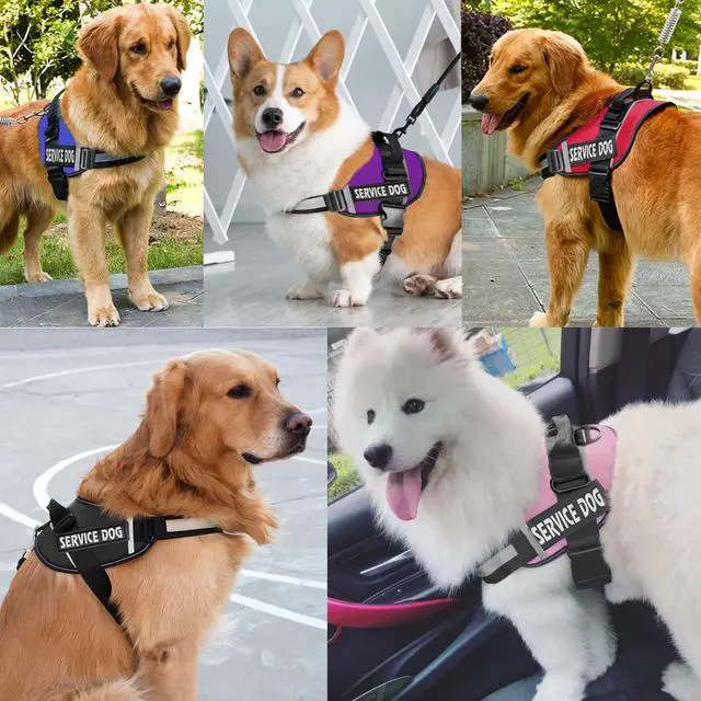 Alt view image 6 of 7 - Dog Harness,No-Pull Service Dog Harness with Handle Adjustable Outdoor Pet Dog Vest 3M Reflective Nylon Material Vest for Breeds,Easy Control for Small Medium Large Dogs