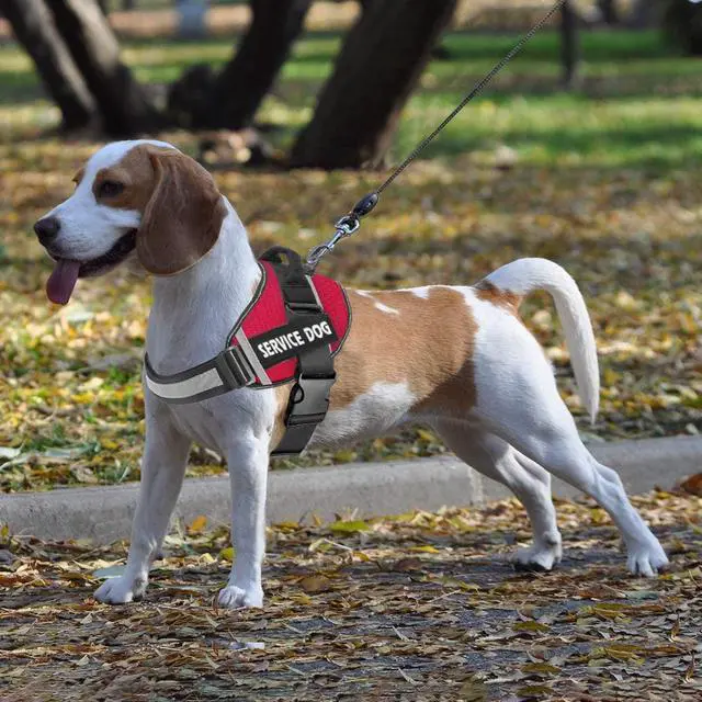 Alt view image 7 of 7 - Dog Harness,No-Pull Service Dog Harness with Handle Adjustable Outdoor Pet Dog Vest 3M Reflective Nylon Material Vest for Breeds,Easy Control for Small Medium Large Dogs