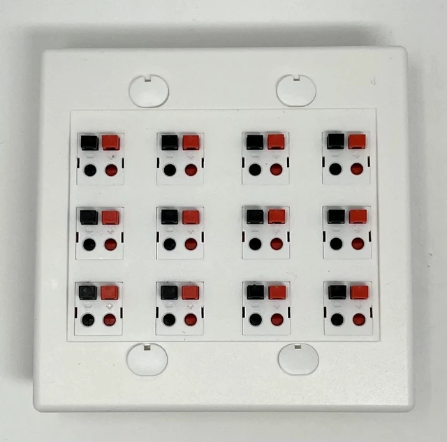 Main image of 12 Port Speaker Jack Dual Gang Wall Plate for Home Theater - White