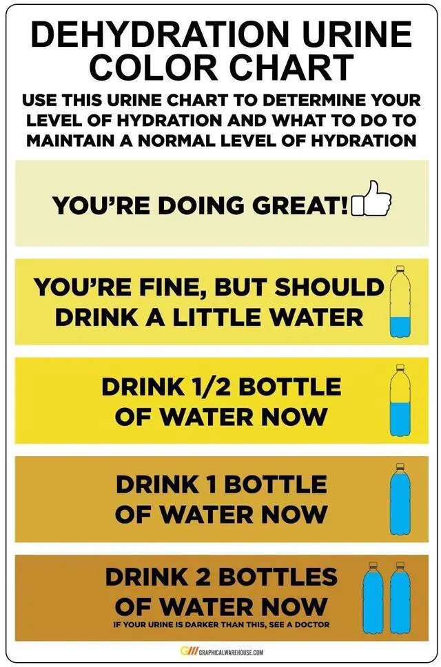 Main image of "Urine Color Hydration Chart" Laminated Adhesive Durable Vinyl Decal - 6x9.16 - Sign by Graphical Warehouse - Safety and Security Signage (30)