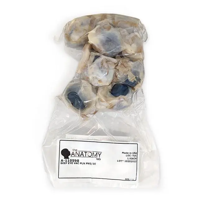 Alt view image 5 of 6 - Preserved Cow Eye Specimen for Dissection, for Biology Classrooms, Vacuum Pack of 50