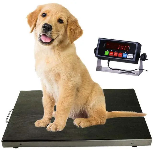 Main image of 700lbs Vet Animal Scale/Livestock Scale, Digital Weighing Equipment for Small to Medium Sized Animals Calf/Goat/Sheep/Pigs/Dogs/Cat or Pets (38"x20"x2")