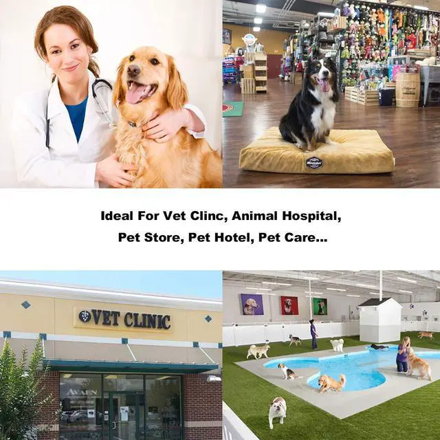 Alt view image 2 of 6 - 700lbs Vet Animal Scale/Livestock Scale, Digital Weighing Equipment for Small to Medium Sized Animals Calf/Goat/Sheep/Pigs/Dogs/Cat or Pets (38"x20"x2")