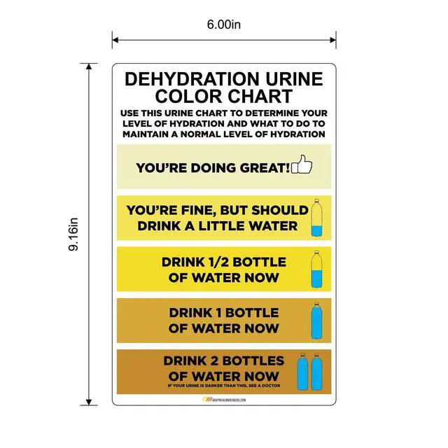 Alt view image 2 of 6 - "Urine Color Hydration Chart" Laminated Adhesive Durable Vinyl Decal - 6x9.16 - Sign by Graphical Warehouse - Safety and Security Signage (10)