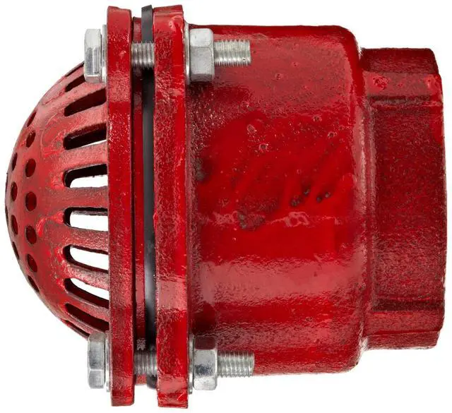 Alt view image 2 of 3 - DFVS40 Painted Carbon Threaded Foot Valve Complete Assembly, 4" NPT