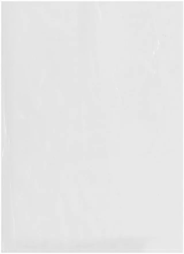 Main image of 13" x 18" (Pack of 500), 2 Mil Flat Open Clear Plastic Poly Bags