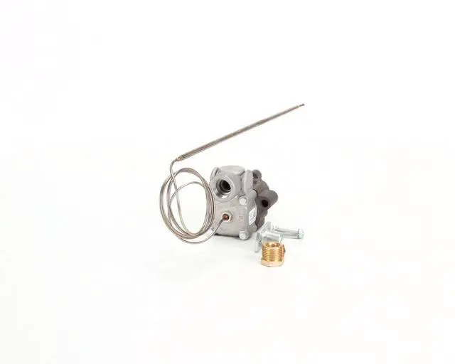 Main image of B94-00002-01 Thermostat