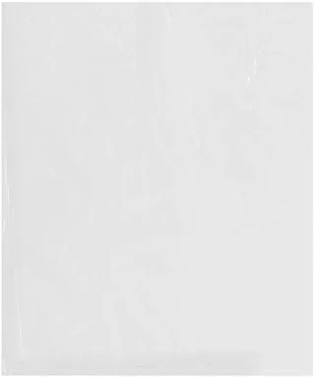 Main image of 15" x 18" (Pack of 500), 2 Mil Flat Open Clear Plastic Poly Bags