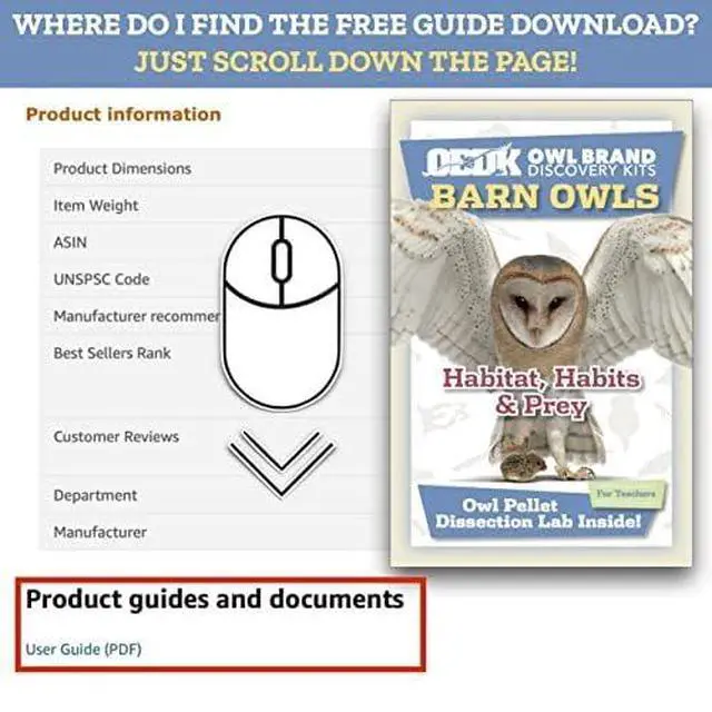 Alt view image 2 of 3 - OBDK Barn Owl Pellets for Dissection - Ecology & STEM Dissection Kit No Frill Refills - Medium Size (1.5-2.0) - Bulk 50-Pack