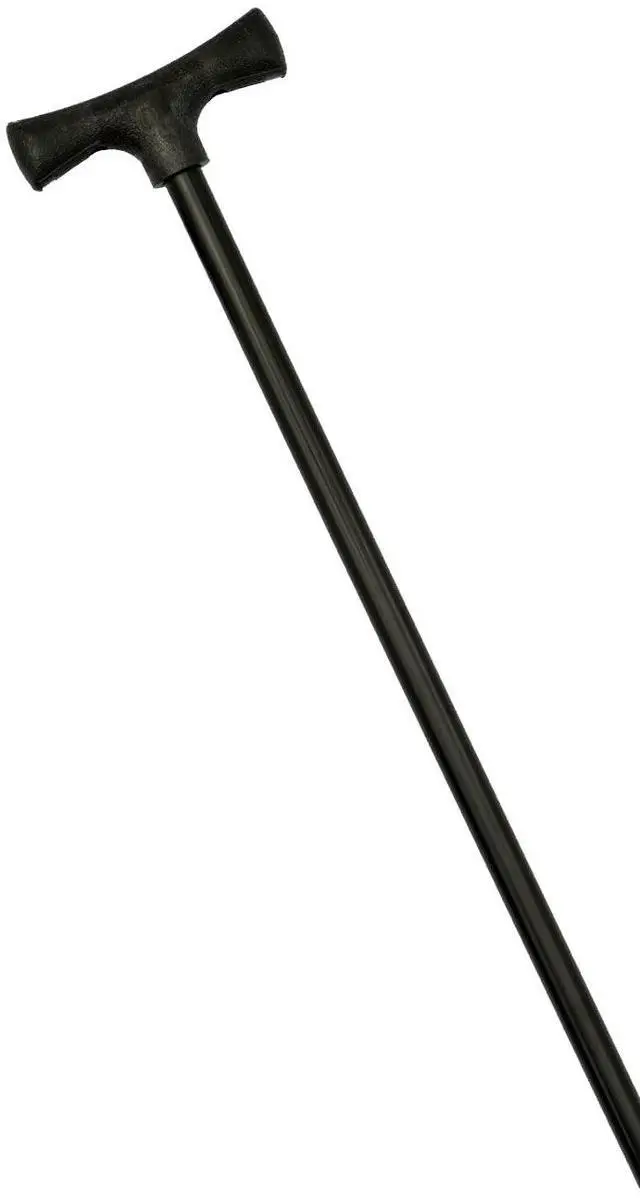 Main image of for Shallow Water- 8' Black Anchor Pin Only