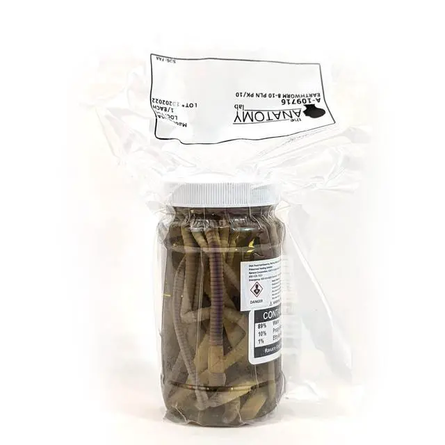 Alt view image 5 of 6 - Preserved Earthworm Specimens for Dissection, Worm Dissection for Biology Classroom, Large 8-10 Inches, Vacuum Packed, 100 Pack