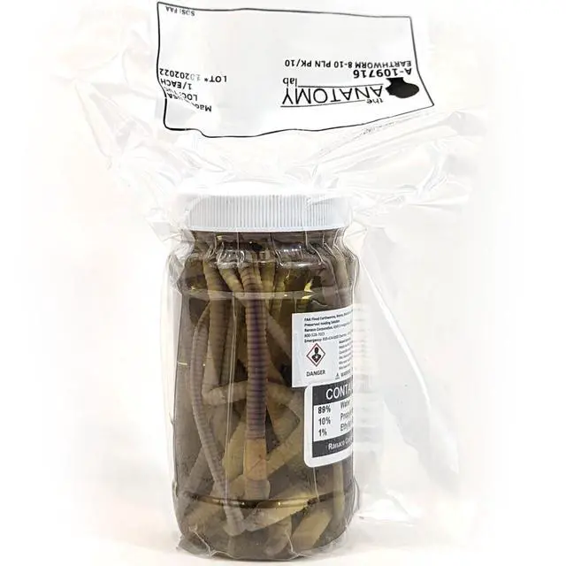 Alt view image 6 of 6 - Preserved Earthworm Specimens for Dissection, Worm Dissection for Biology Classroom, Large 8-10 Inches, Vacuum Packed, 100 Pack