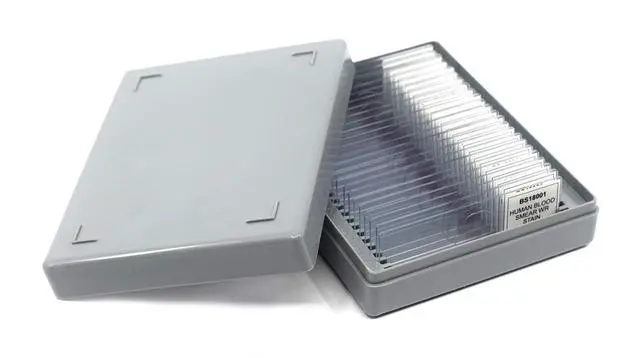 Alt view image 3 of 3 - 25pk Bacillus Smear, Gram Negative Stain - Prepared Microscope Slides - 75 x 25mm - Classroom Pack, 25 Slides in Storage Case - Biology & Microscopy - Labs