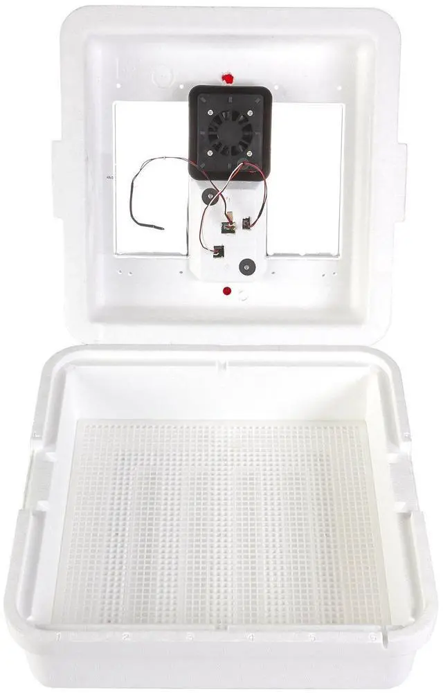 Main image of ® Digital Circulated Air Incubator | 41 Egg Capacity | Chick Egg Hatching Incubator with Circulated Fan, Temperature and Humidity Control | Made in USA