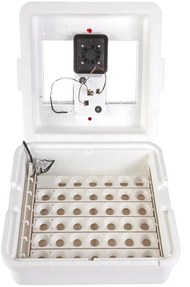 Alt view image 3 of 6 - ® Digital Circulated Air Incubator | 41 Egg Capacity | Chick Egg Hatching Incubator with Circulated Fan, Temperature and Humidity Control | Made in USA