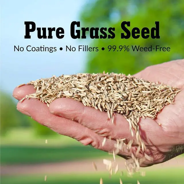 Alt view image 4 of 6 - Pure Grass Seed Sun & Shade Mixture, 20 lb. Bag Covers up to 10,000 sq. ft