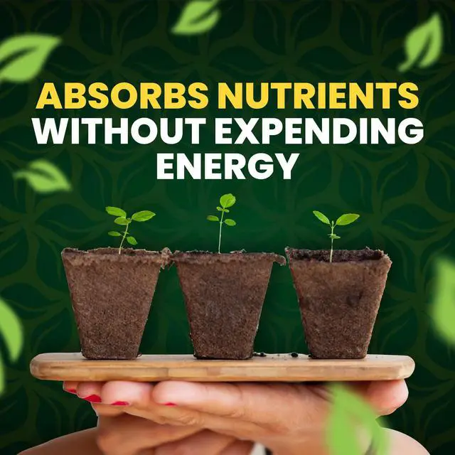 Alt view image 4 of 6 - Green Aminos, Rooting Stimulator Blend with Amino Acids and Nutrients for Potting Mix, Soils, Cuttings, and Hydroponic Gardens, Organic Plant Food for Indoor and Outdoor Plants