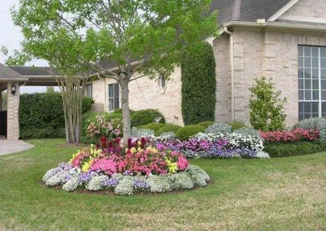 Alt view image 5 of 6 - Nelson - Trees, Shrubs, & Evergreens Plant Food for In-Ground, Containers, & Patios, Granular Fertilizer, NutriStar 21-6-8 (15 lb.)