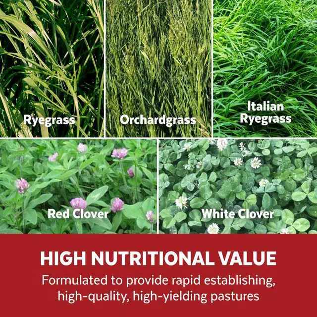 Alt view image 3 of 6 - s 100373 Pasture Overseeder Grass Seed, 25-Pound