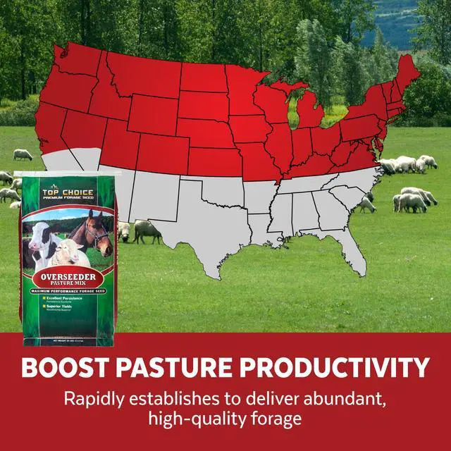 Alt view image 5 of 6 - s 100373 Pasture Overseeder Grass Seed, 25-Pound