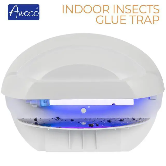 Alt view image 4 of 6 - LED 5W 100V-240V Wall Mount Sconce Sticky Fly Trap Lamp for Capturing Flying Insects, Flies, Mosquitoes, and Moths (Fly Trap)